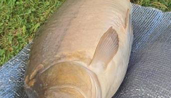 Biały domek nad stawem - Foto 4