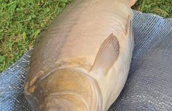 Biały domek nad stawem - Foto 4