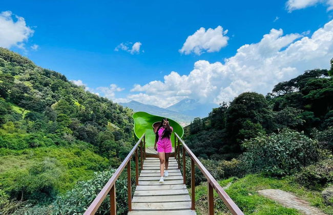 Excursión a la finca Paseo de las Nubes - Foto 2