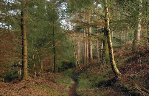 Period Cottage near Suffolk Coast and Forest - Foto 29