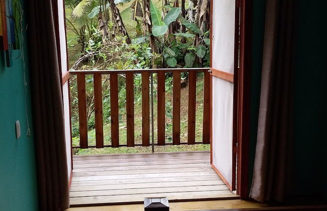 Drake Lapas - Foto 9