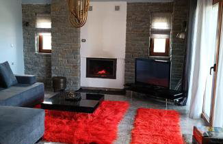 ΑΡΧΟΝΤΙΚΟ ΜΑΝΤΕΙΟ - Photo 2