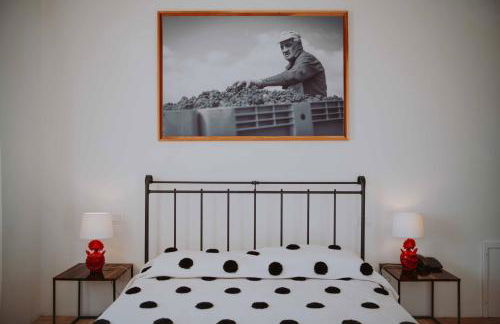 Tenuta Pianirossi - Foto 48