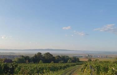 Kuća za odmor Baron - Foto 51