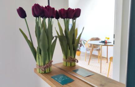 Kurzentrum, Küche, radfreundlich, gemütliches Bett - Foto 10