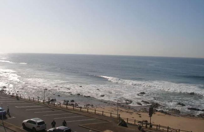 Lazy Lizard - Foto 26