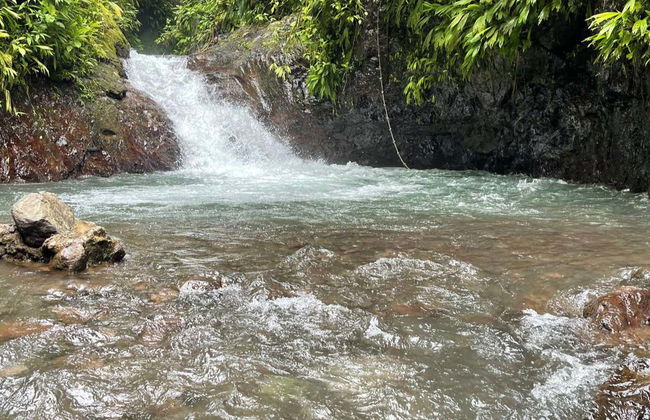 Trilha pela reserva Rainmaker - Foto 7