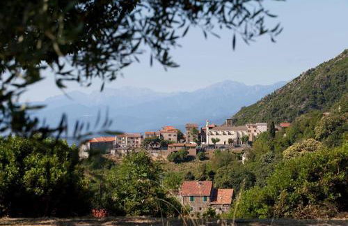 App. 2 p design zen vue mer N182 - Foto 49