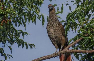Atelier que virou um Loft em florianopolis - Foto 17