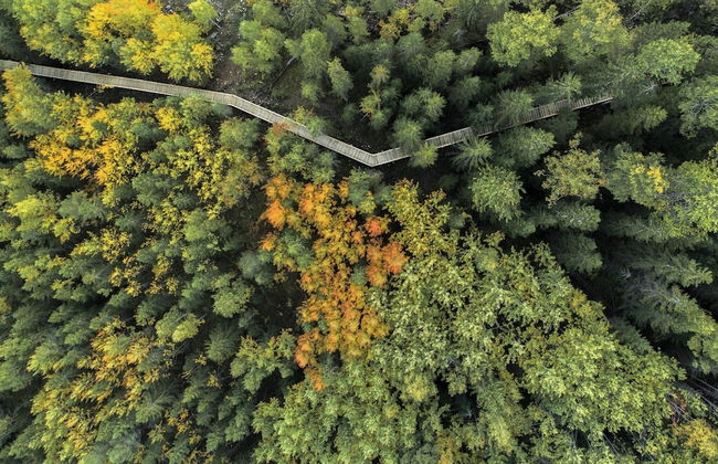 Tahko-Tours - Foto 79