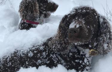 Chalet Domino - Foto 23