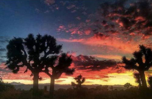 JT Park Villa 360 Views and Starlink on 10 acres - Foto 41