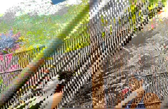 Bangatacho - Foto 55