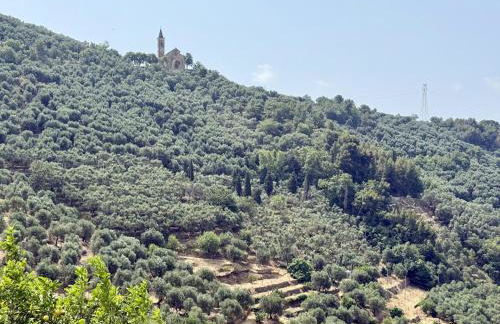 HOST4U - Cozy Warm House with Beautiful View on the Olives Valley - Foto 13