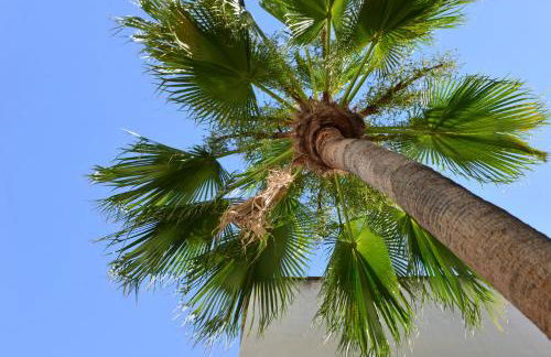 Palazzo Botta Suites - Foto 9