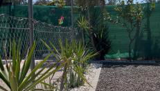 Oasis Pool in the Desert BBQ and Garden - Foto 4, Garden, Garden view