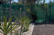 Oasis Pool in the Desert BBQ and Garden - Foto 4