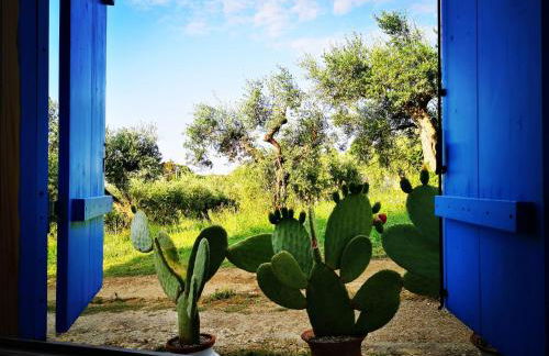 La collina sui trabocchi - Foto 55