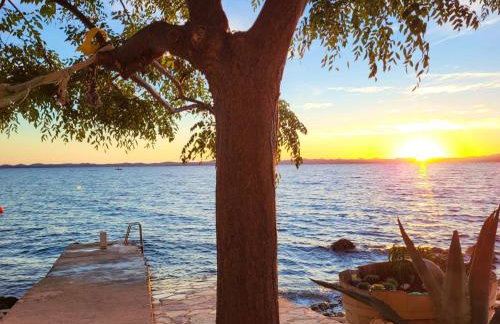 Old Fisherman's House - Apartment Sonja - Foto 30