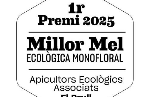 Casa Jaumet: un lloc de pau on escoltar el silenci - Foto 34