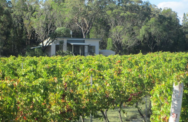 Just Red Wines Vineyard Cabins - Photo 2