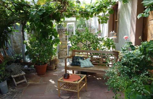 Traumblick Rebenmeer - Foto 10