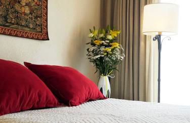 STRAVINSKY Apartments Avignon - individual wifi 1Gb - Foto 1