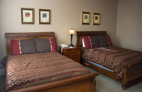 Mountaintop Lodge with Wintergreen Advantage - Foto 21