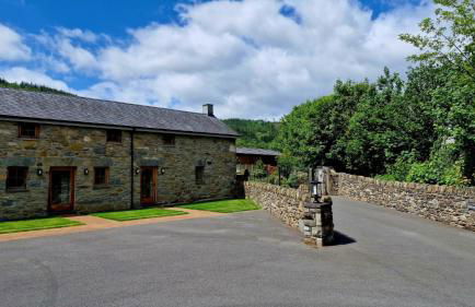 Glandwr Cottage at Hendre Rhys Gethin - Foto 13