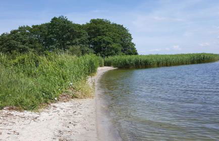 Appartement "Wolkenschiff" - Oase am Haff - Foto 42