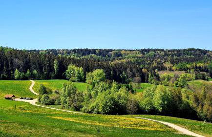 Cisowe Wzgórze - Foto 28