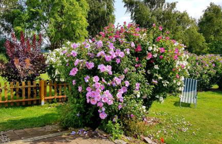 Ferienwohnung Thees - Foto 9