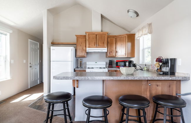 Baby Bear - Photo 10