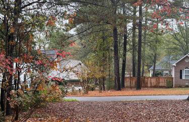 Luxurious Lower Level - Foto 14