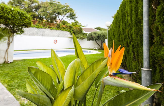 Real del Tivoli Two Rooms and Parking free - Photo 28