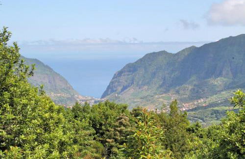 OurMadeira - Casa Hortensia - Foto 19