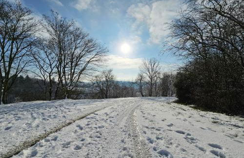 Ferienapartment Wilma - Foto 62