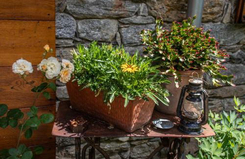 Agriturismo Treterre - Foto 66