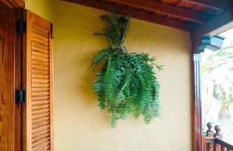 Bungalows - Villas Los Pajeros - Foto 6