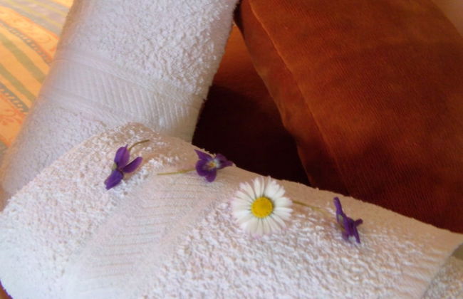 Jardins du Castel Gîtes Annick et J-Paul - Photo 21