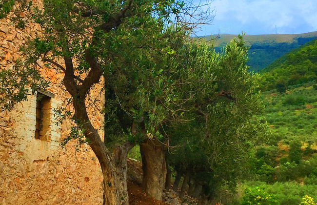 Setter House Agri Hotel - Foto 49