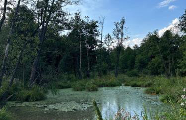 Domek nad Wkrą - Foto 38