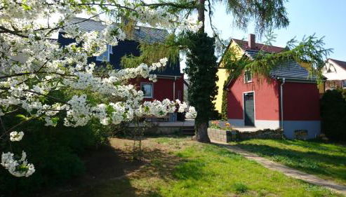 Haus an den Elbwiesen - Foto 2, Garden