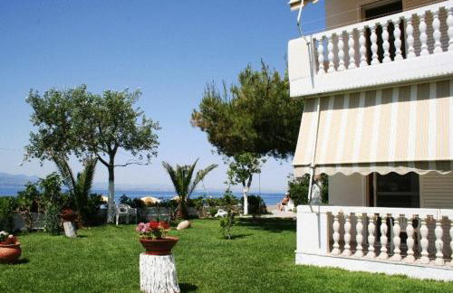 Posidonia Pension - Photo 18
