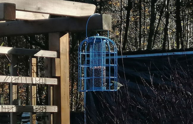 Nice Chalet by the Woods in Saint-leger - Foto 28