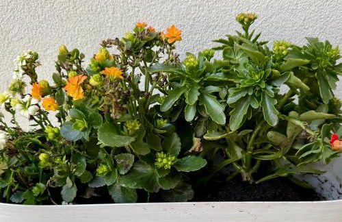 Apartments Sunshine G1 - Foto 44