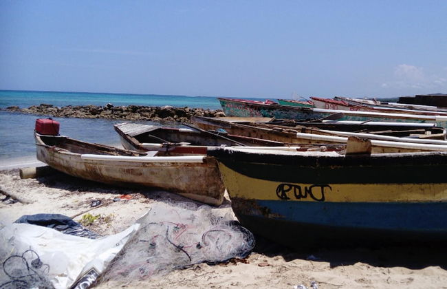 Beautiful 2-bed Apartment in Sunny Jamaica - Photo 15