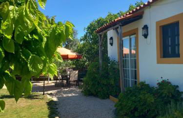 O Ninho do Rei - Foto 15