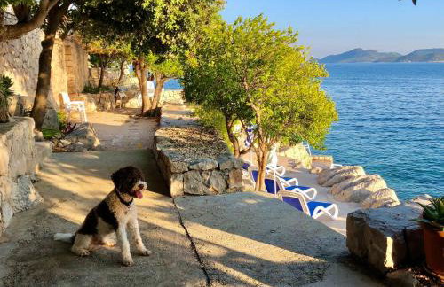 Villa Planika - Photo 15