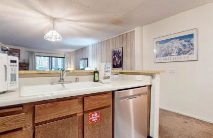 Summit Condominium #273 Condo - Foto 16